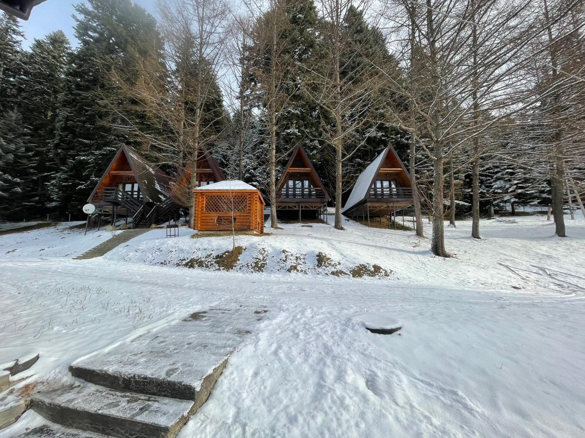 Karpatskyy Villa Rozluch Exteriör bild