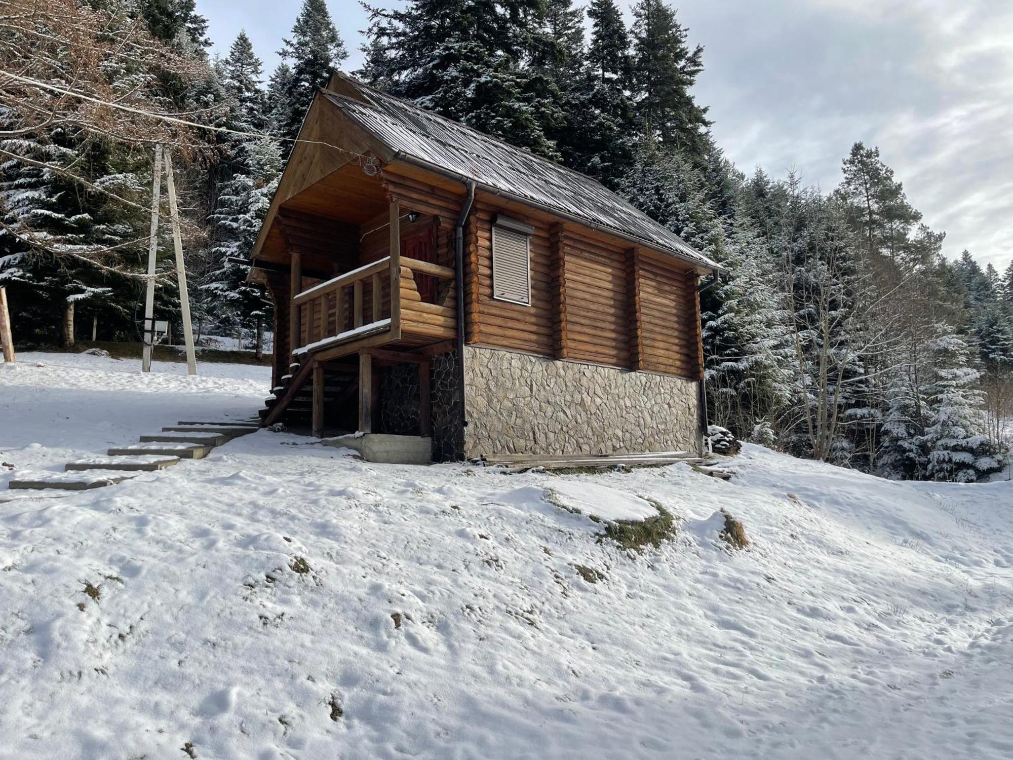Karpatskyy Villa Rozluch Exteriör bild