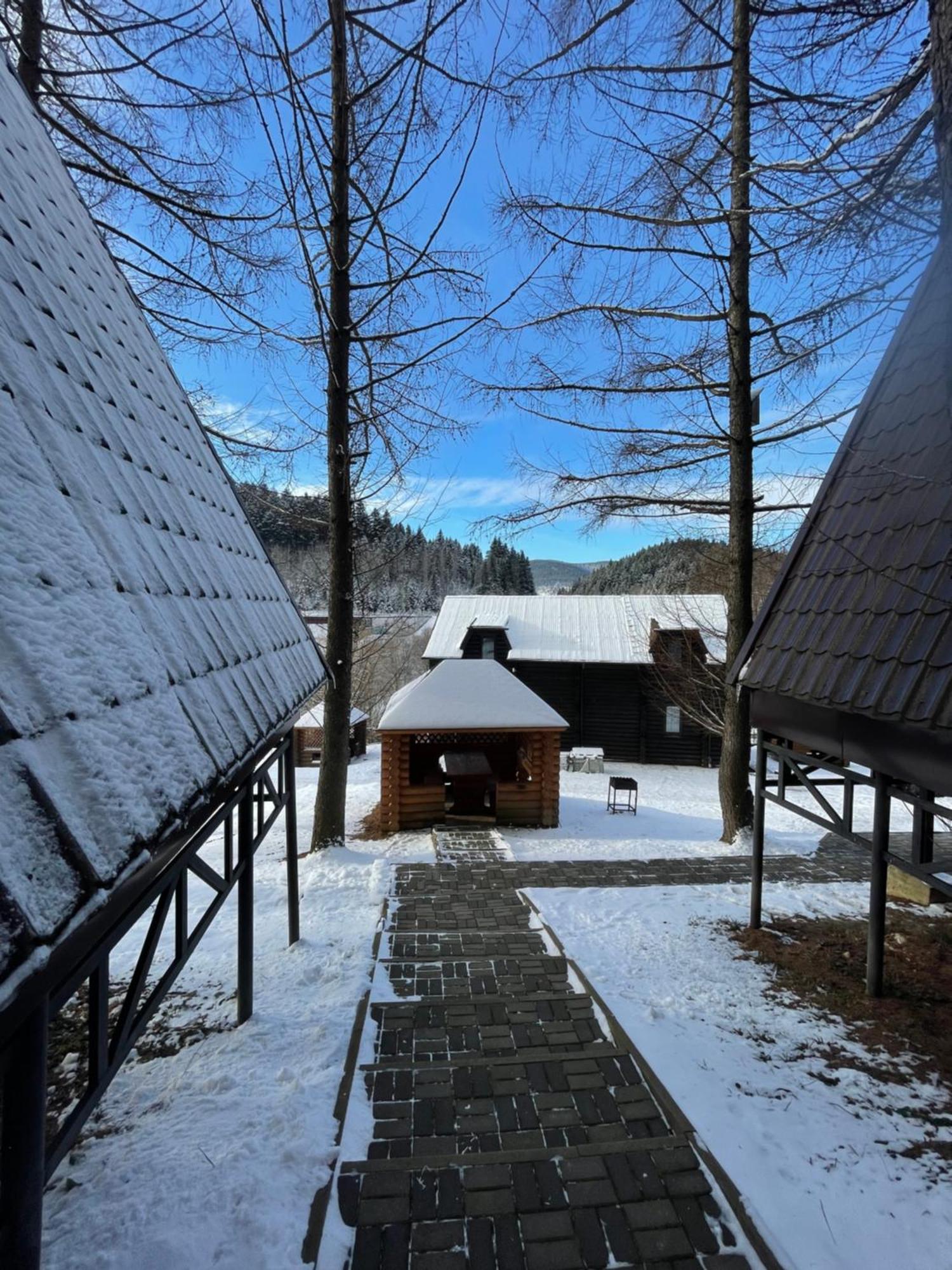 Karpatskyy Villa Rozluch Exteriör bild