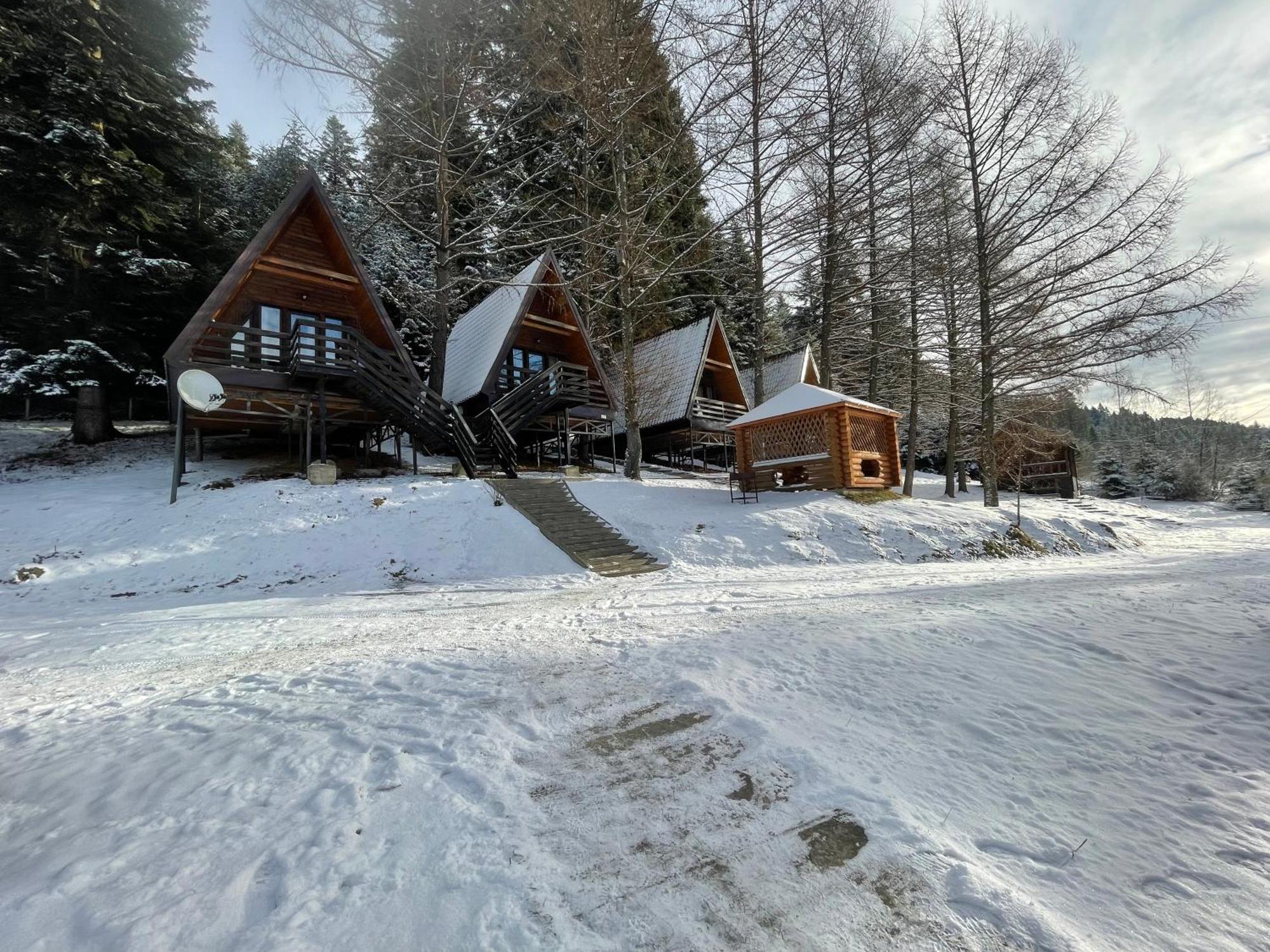 Karpatskyy Villa Rozluch Exteriör bild
