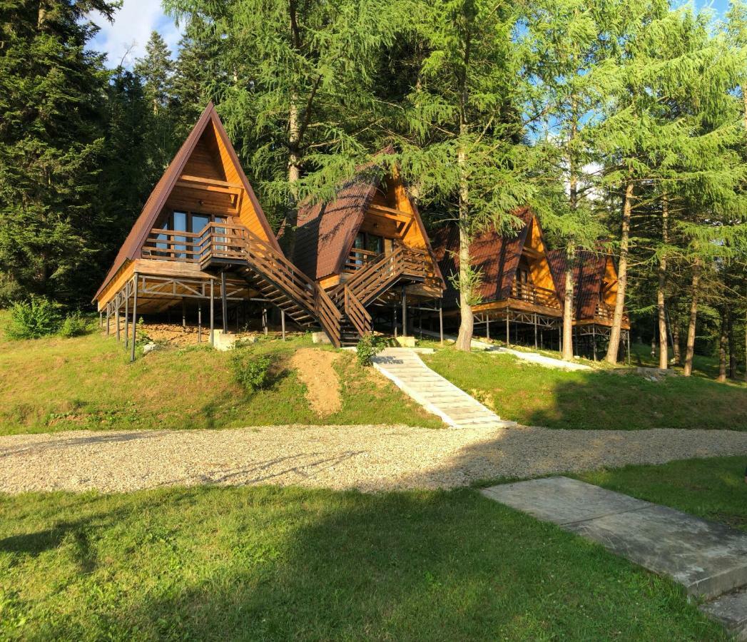 Karpatskyy Villa Rozluch Exteriör bild